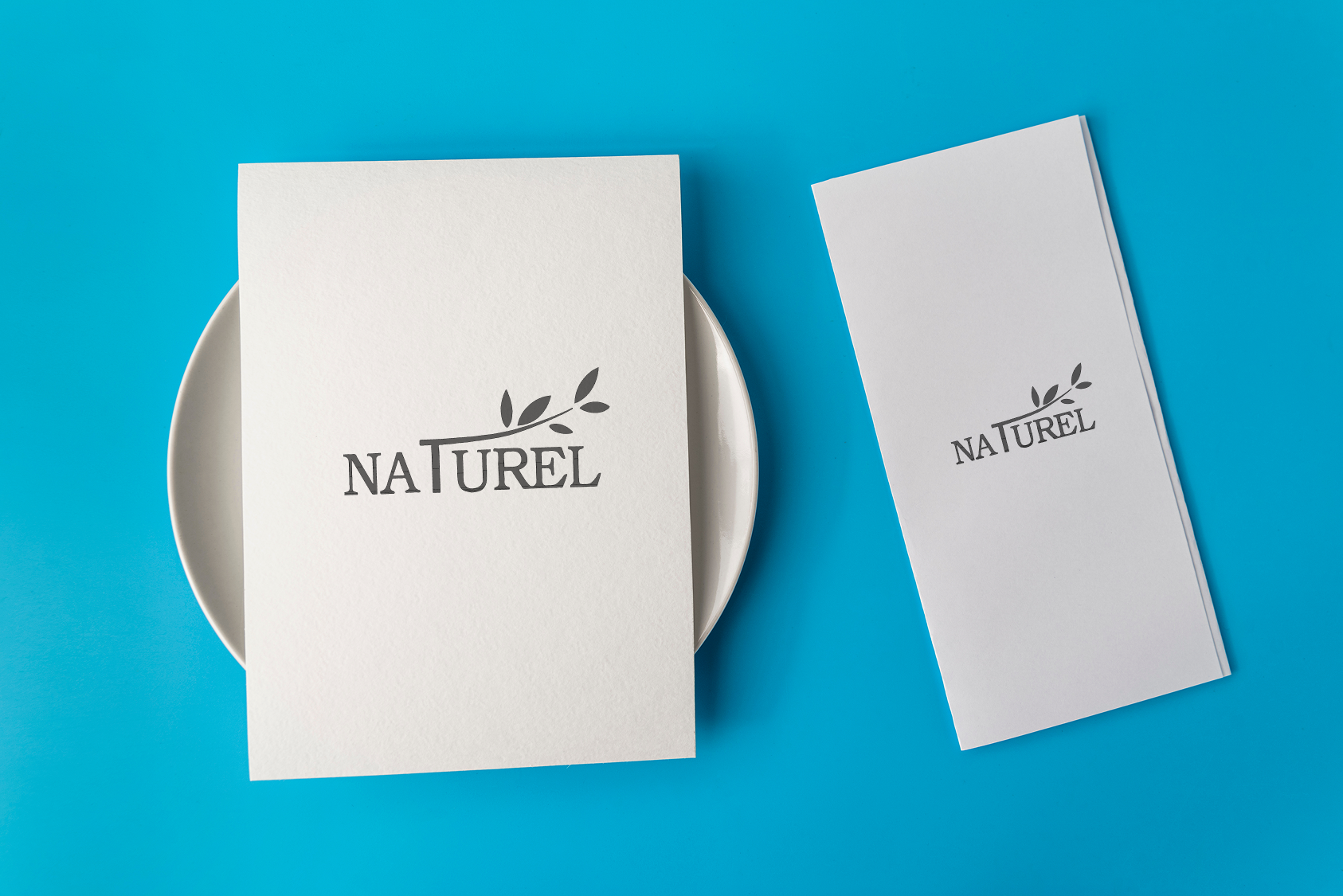 Peçete/Airlaid Servis Peçetesi